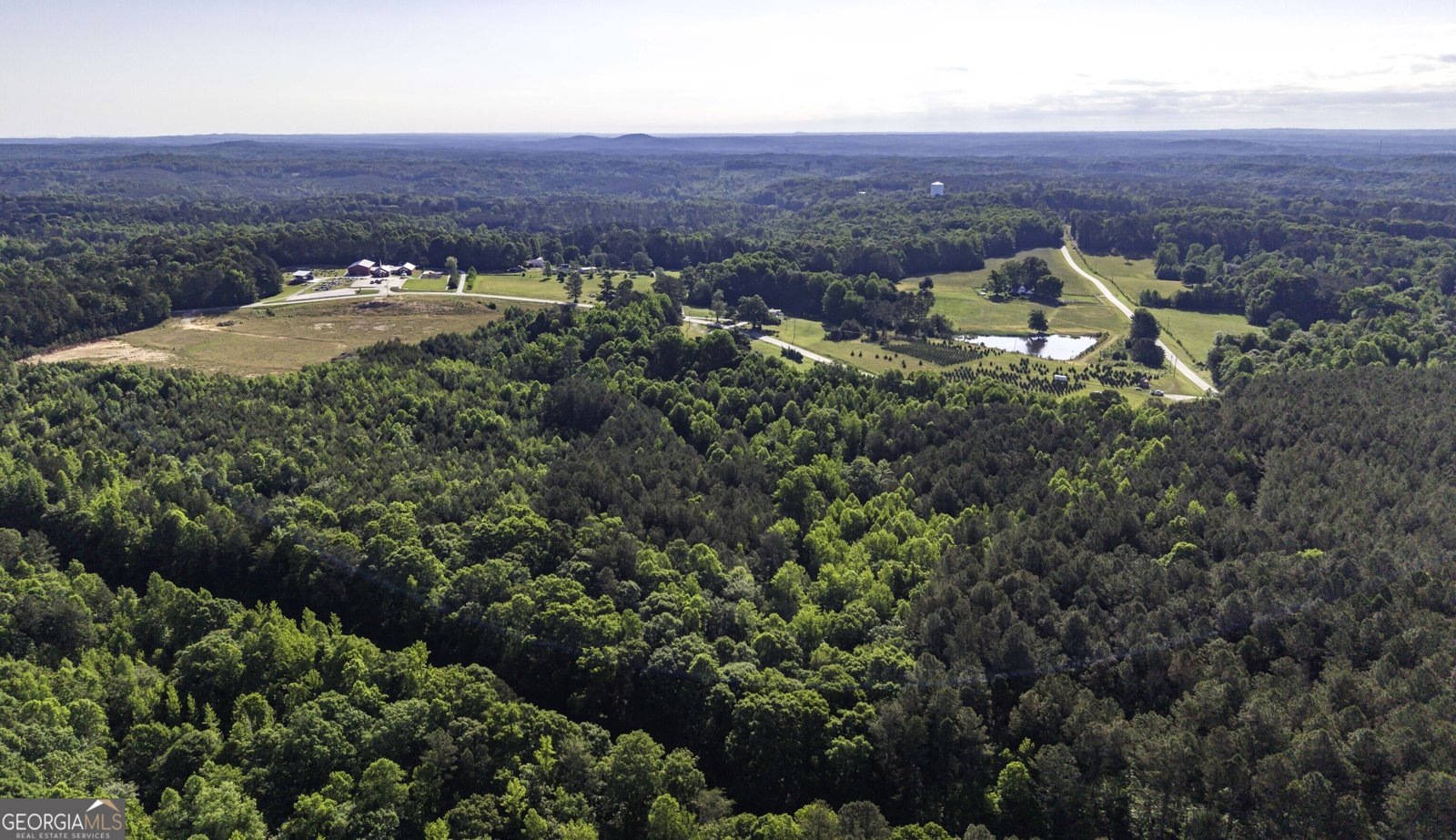 2774 Steadman Road Tallapoosa - Photo 39