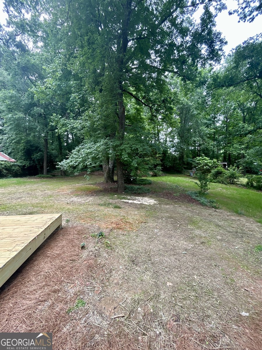 620 Mount Zion Road Conyers - Photo 28