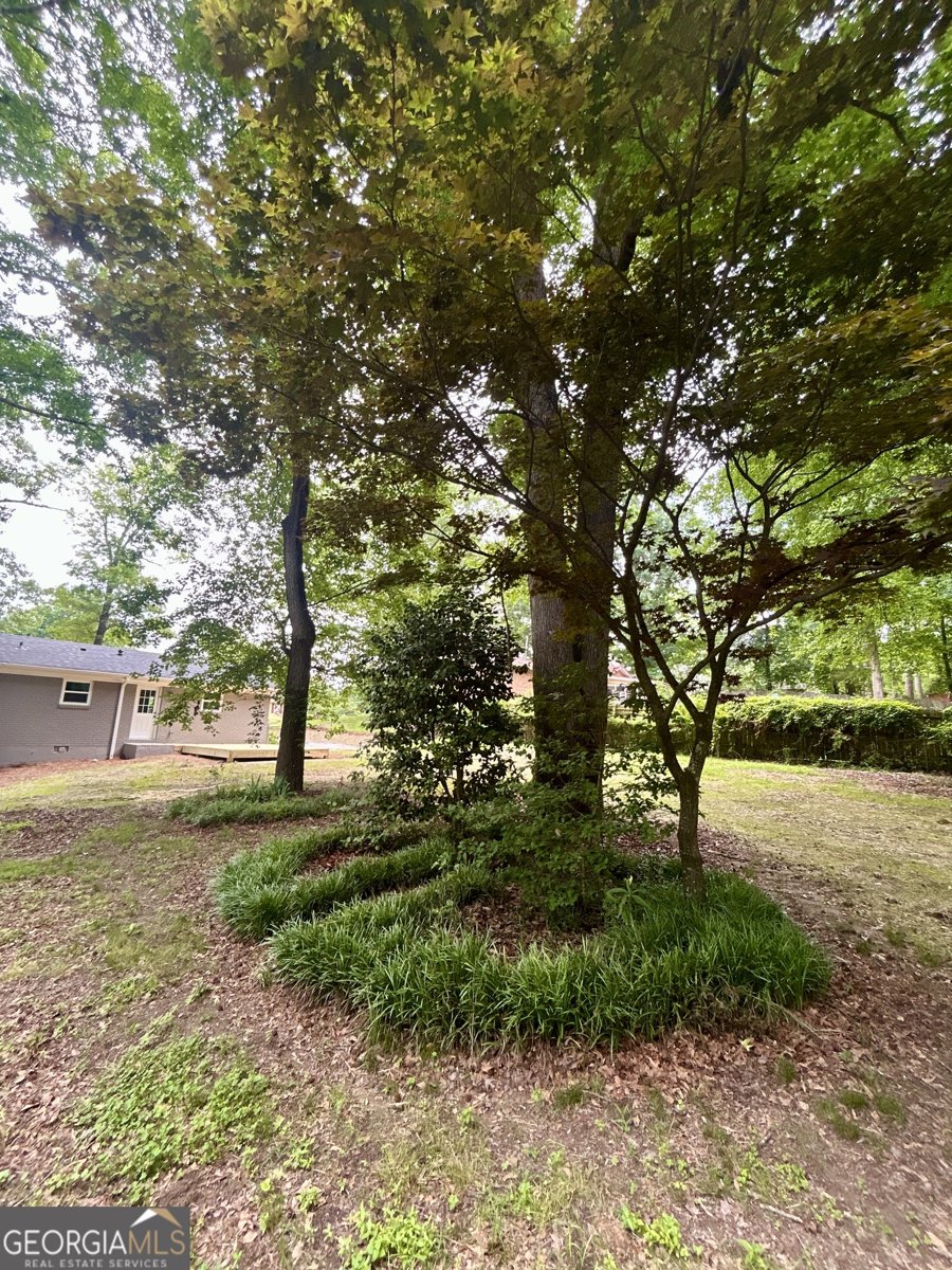 620 Mount Zion Road Conyers - Photo 29