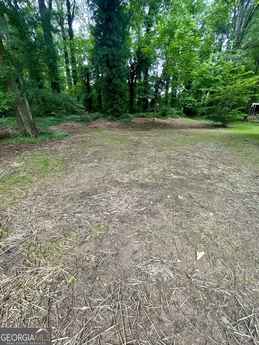 620 Mount Zion Road Conyers - Photo 32