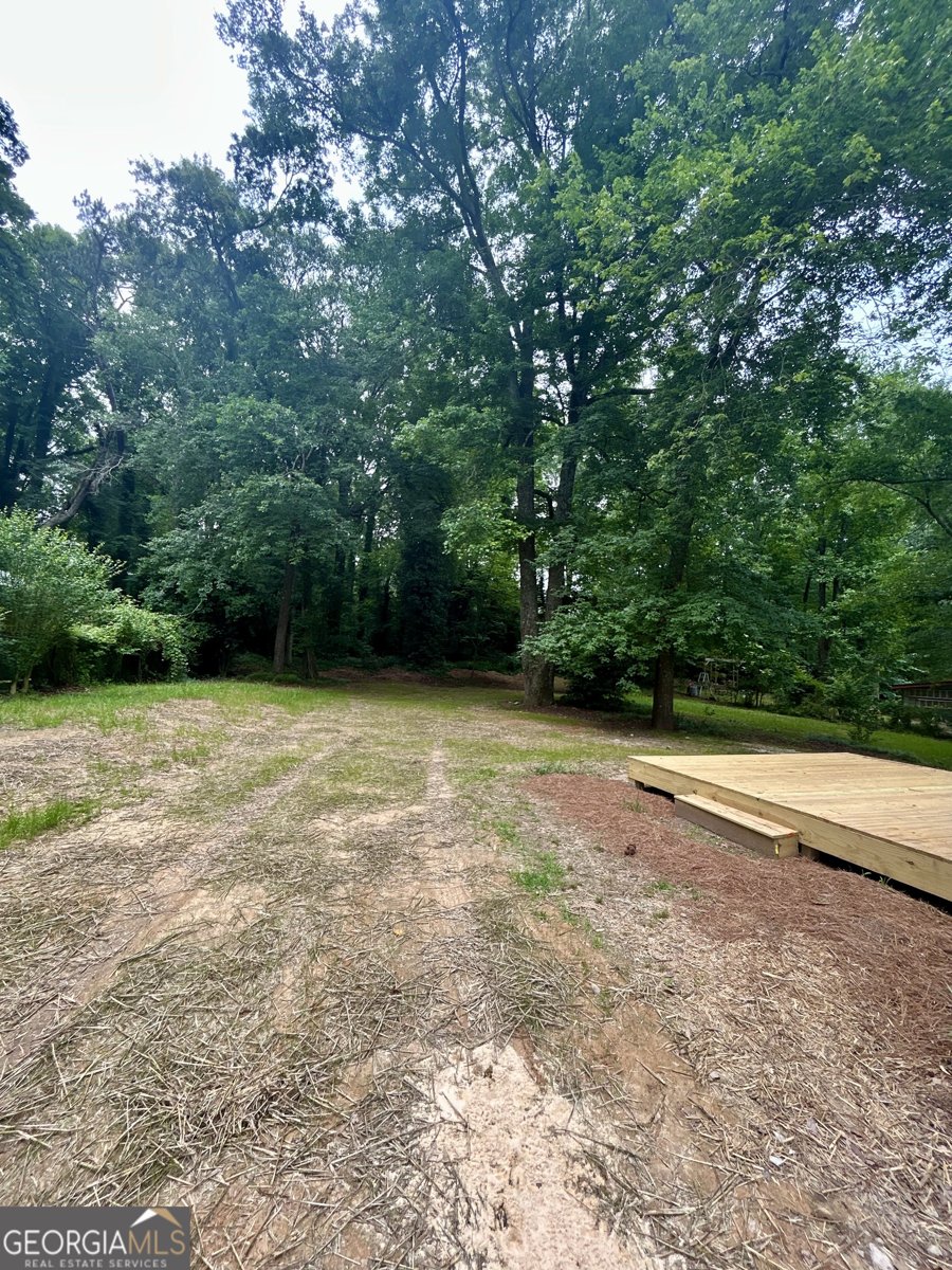 620 Mount Zion Road Conyers - Photo 33