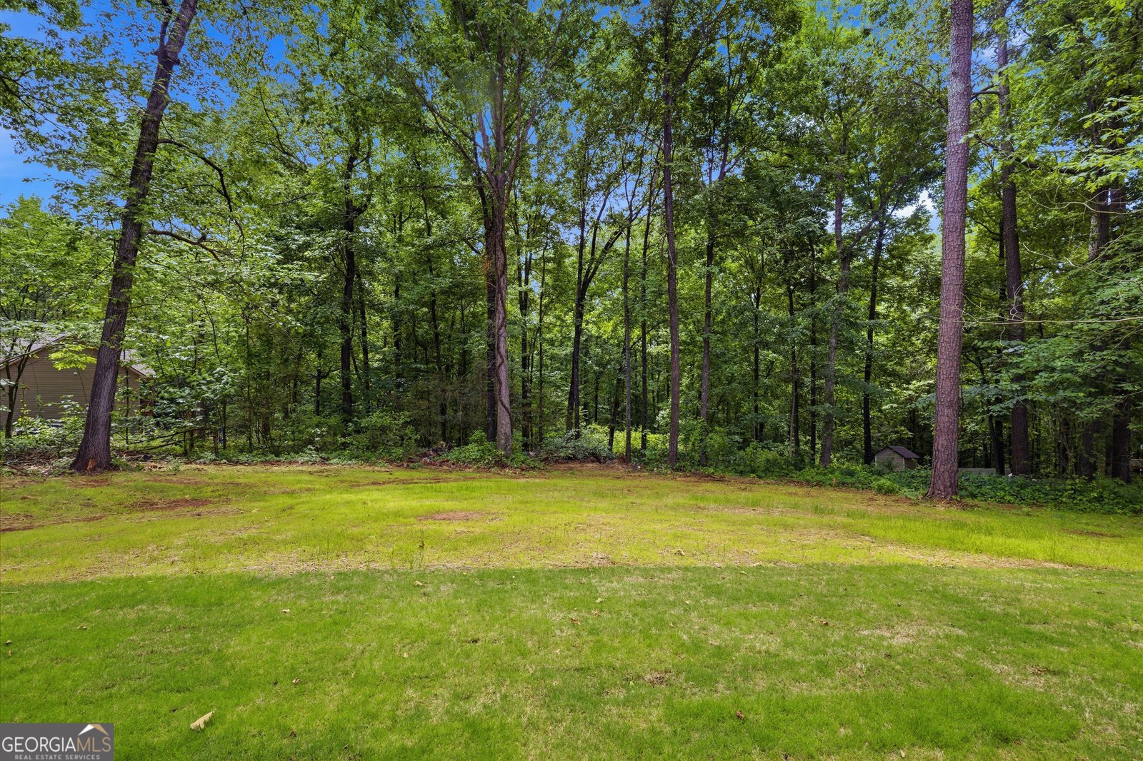 148 Buck Creek Circle Griffin - Photo 30