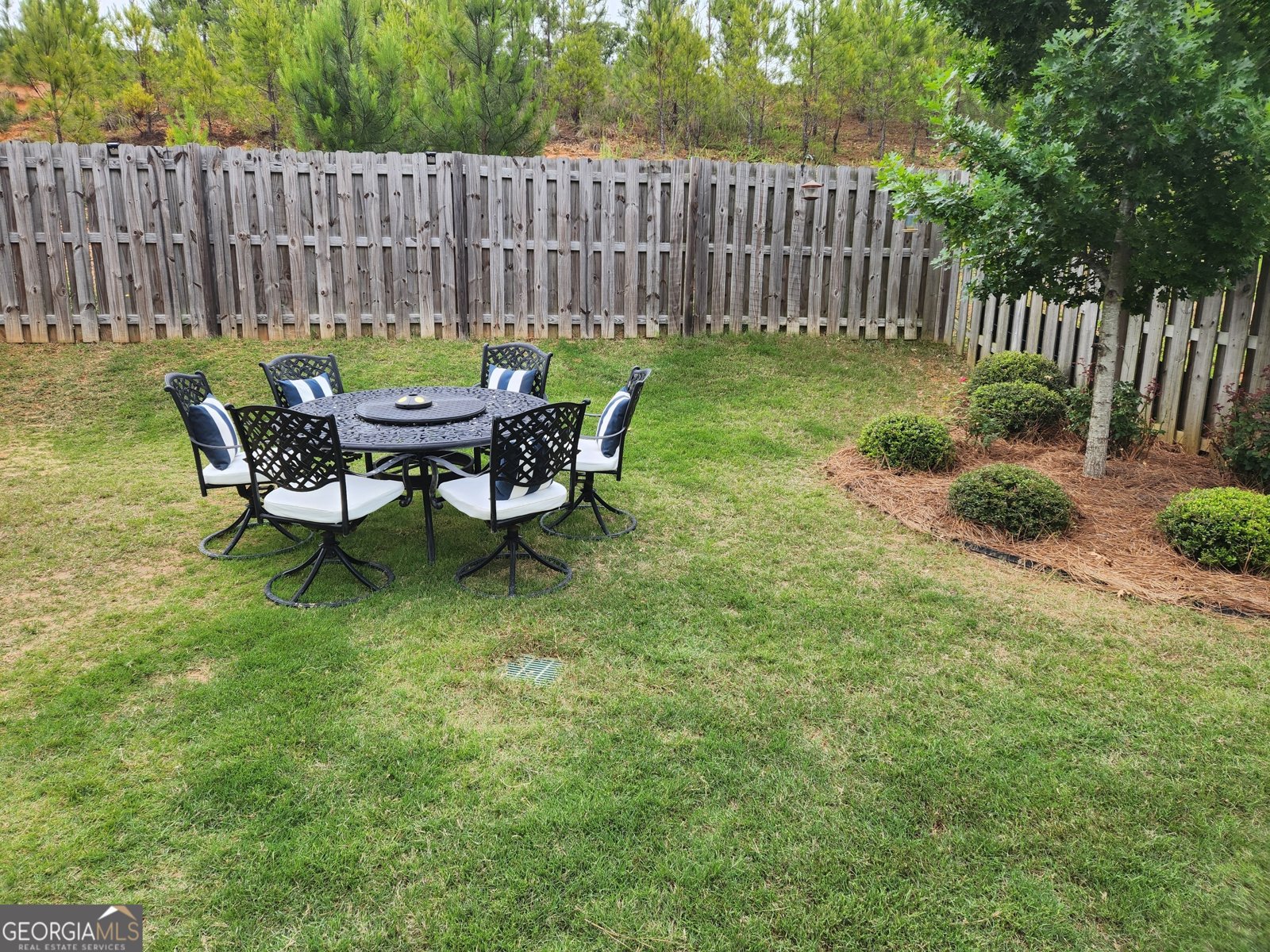 4518 Mountain Ivy Dr Fortson - Photo 54