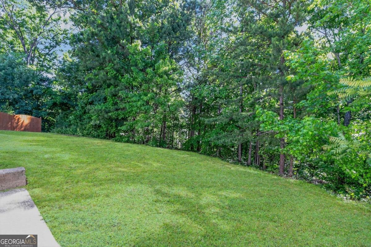 4440 Pipestone Place Douglasville - Photo 36
