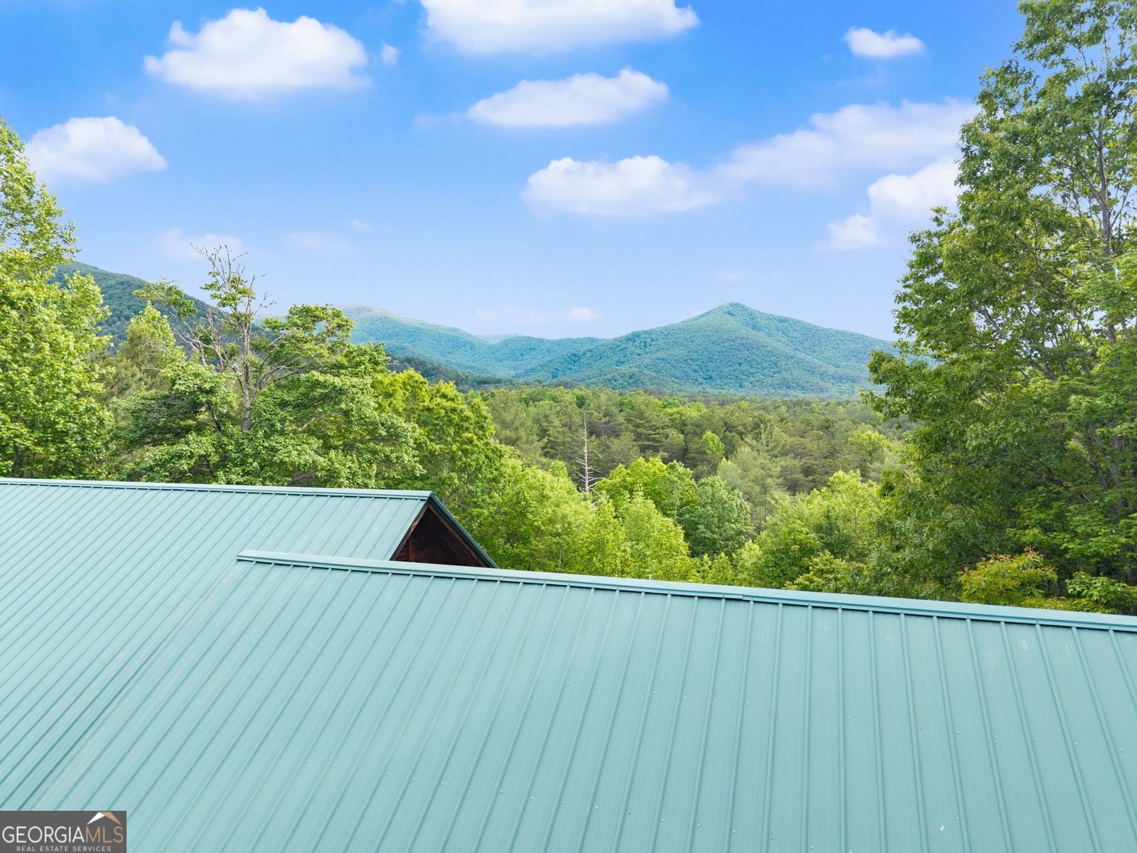 707 Fern Cove Road Sautee Nacoochee - Photo 32