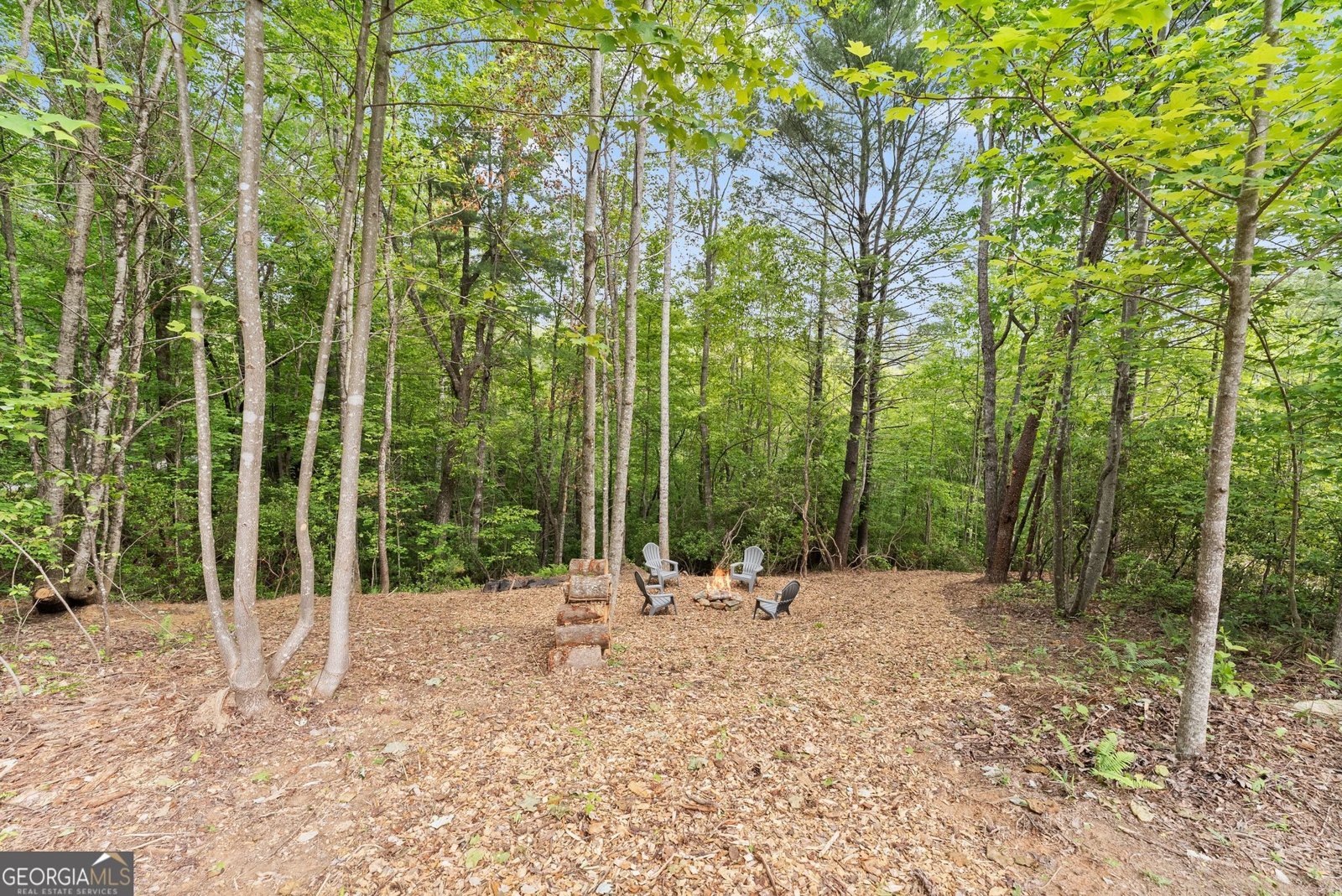 707 Fern Cove Road Sautee Nacoochee - Photo 37