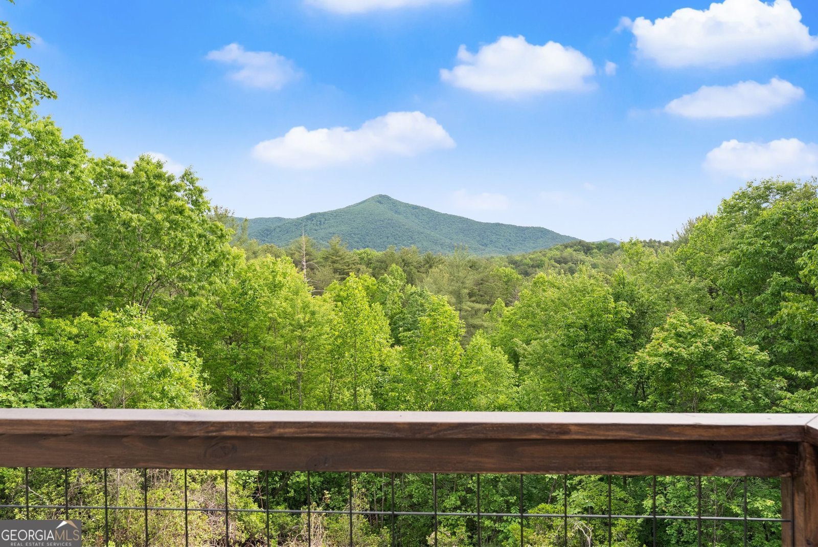 707 Fern Cove Road Sautee Nacoochee - Photo 43