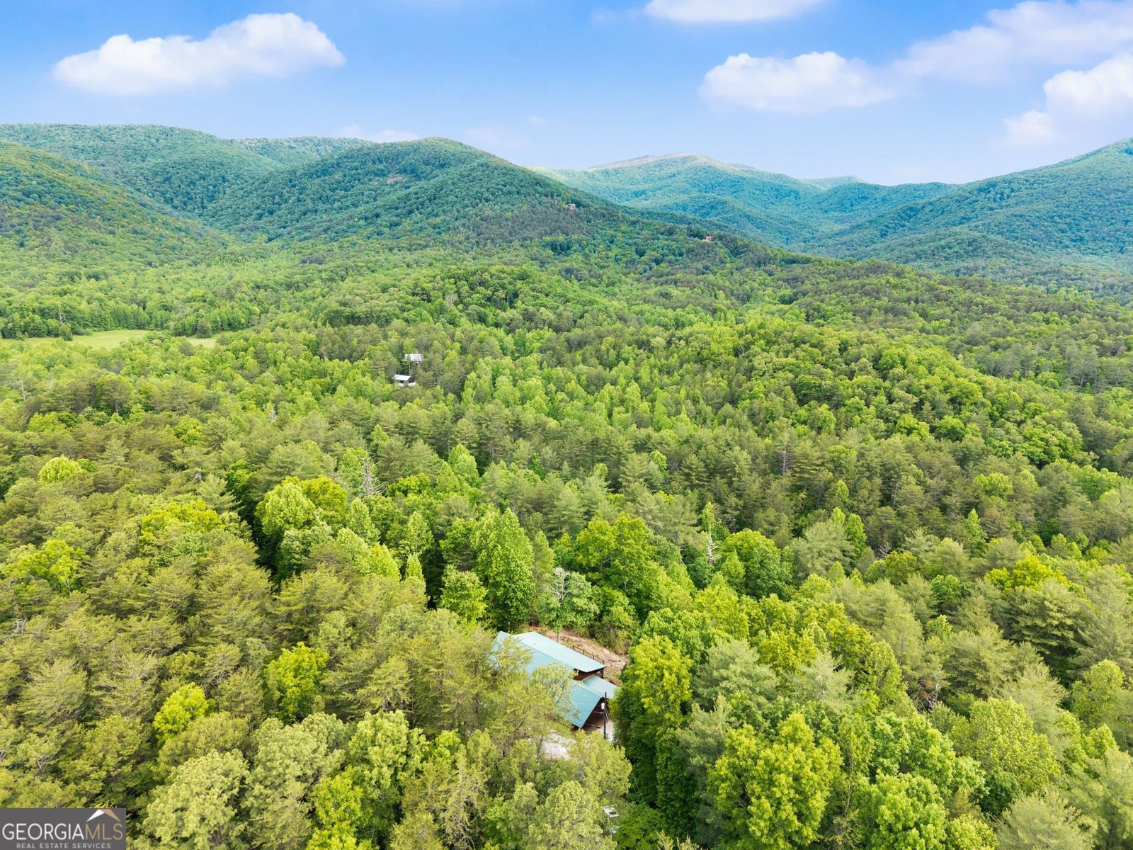 707 Fern Cove Road Sautee Nacoochee - Photo 47