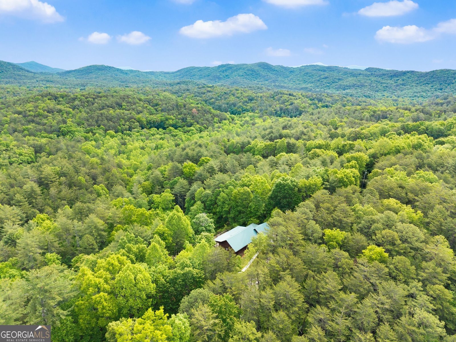 707 Fern Cove Road Sautee Nacoochee - Photo 48
