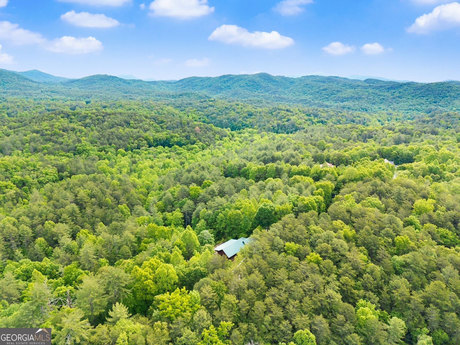 707 Fern Cove Road Sautee Nacoochee - Photo 49