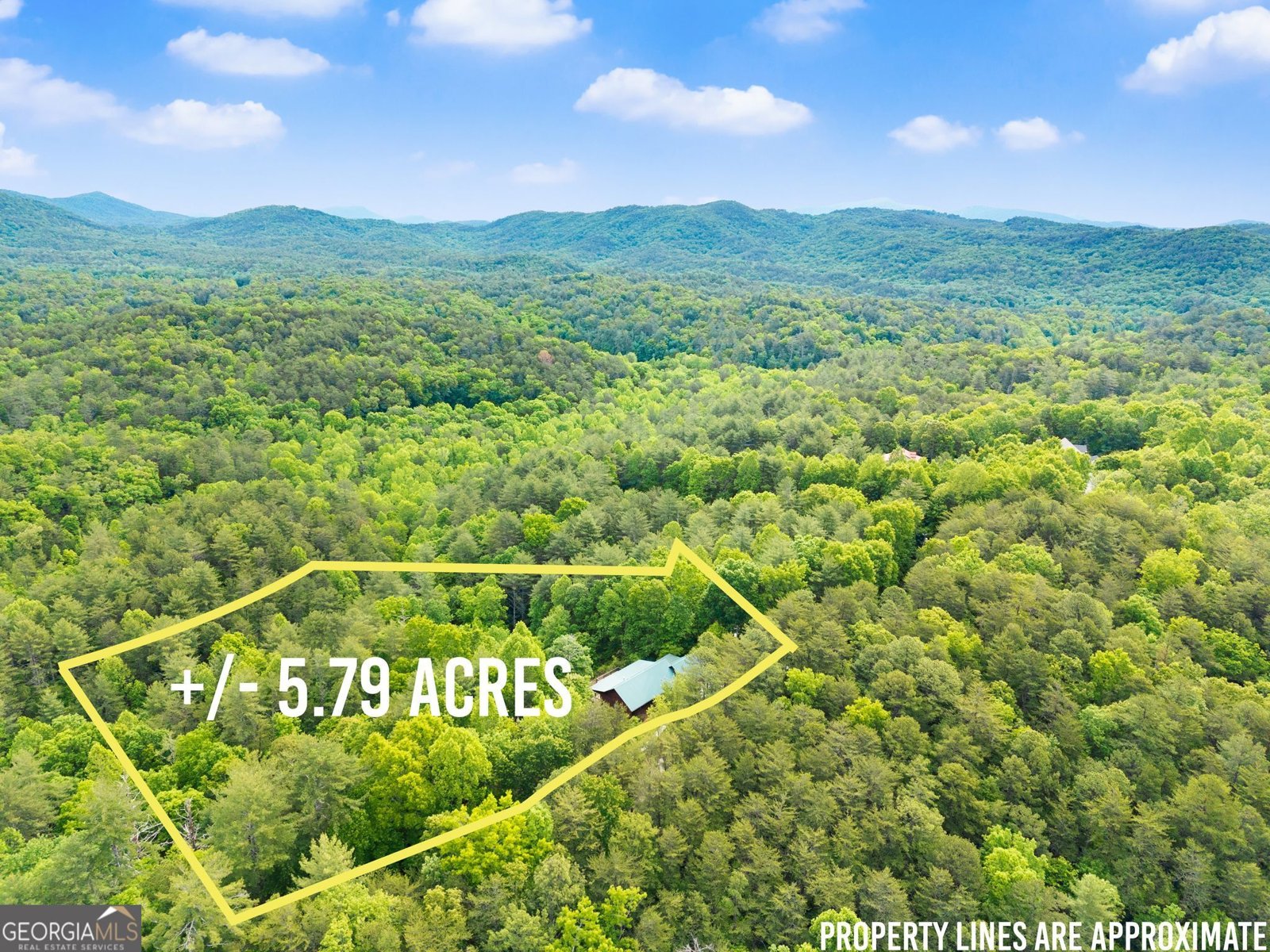 707 Fern Cove Road Sautee Nacoochee - Photo 50