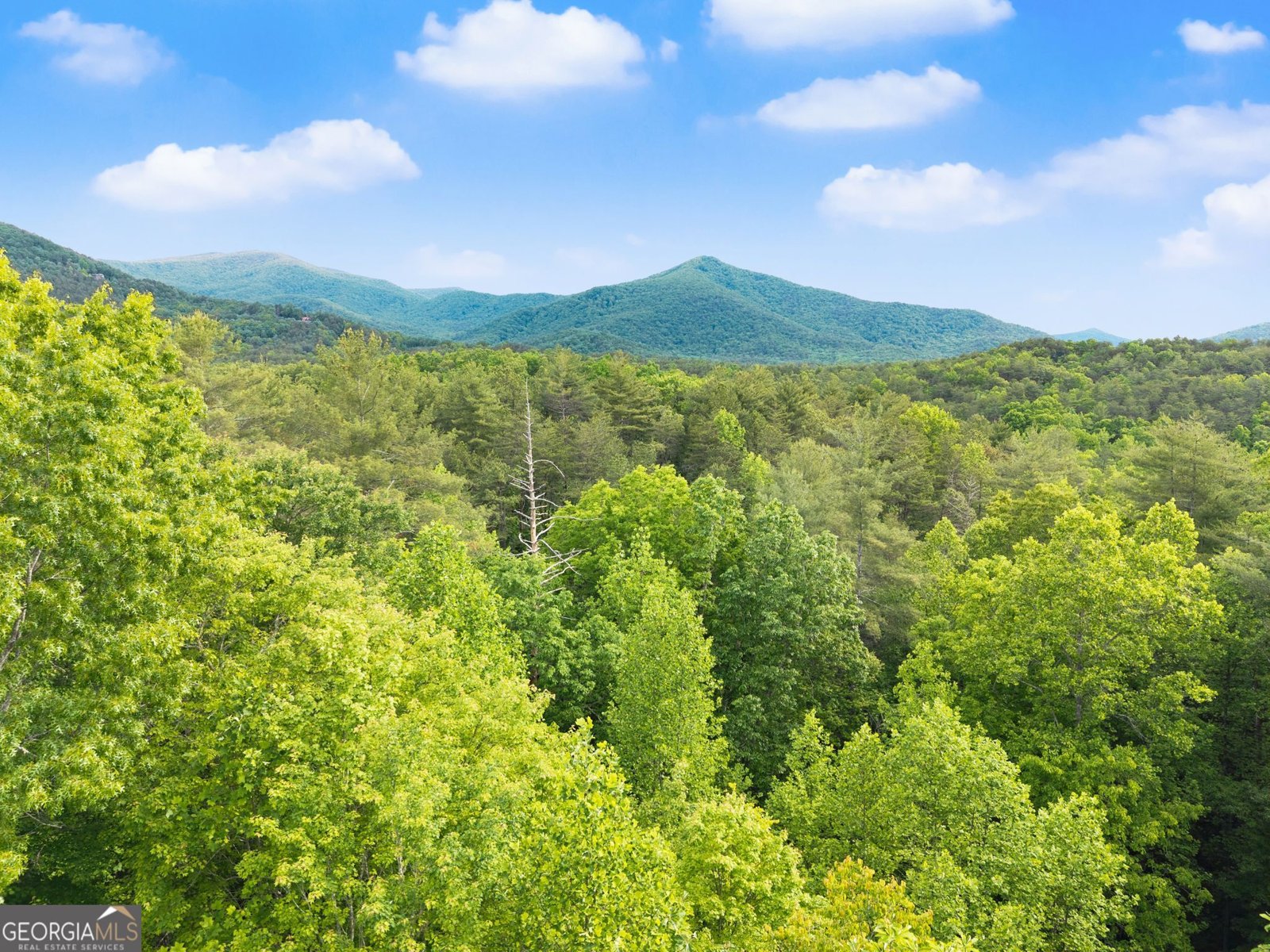 707 Fern Cove Road Sautee Nacoochee - Photo 55