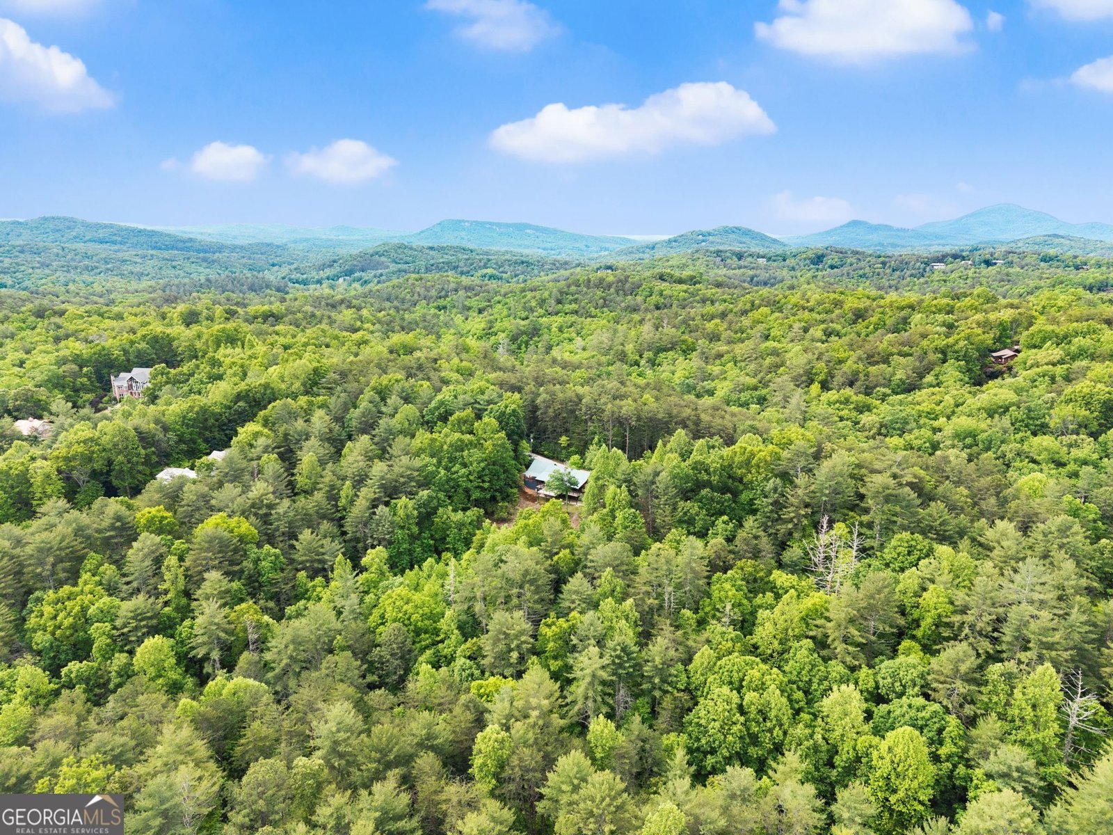 707 Fern Cove Road Sautee Nacoochee - Photo 57