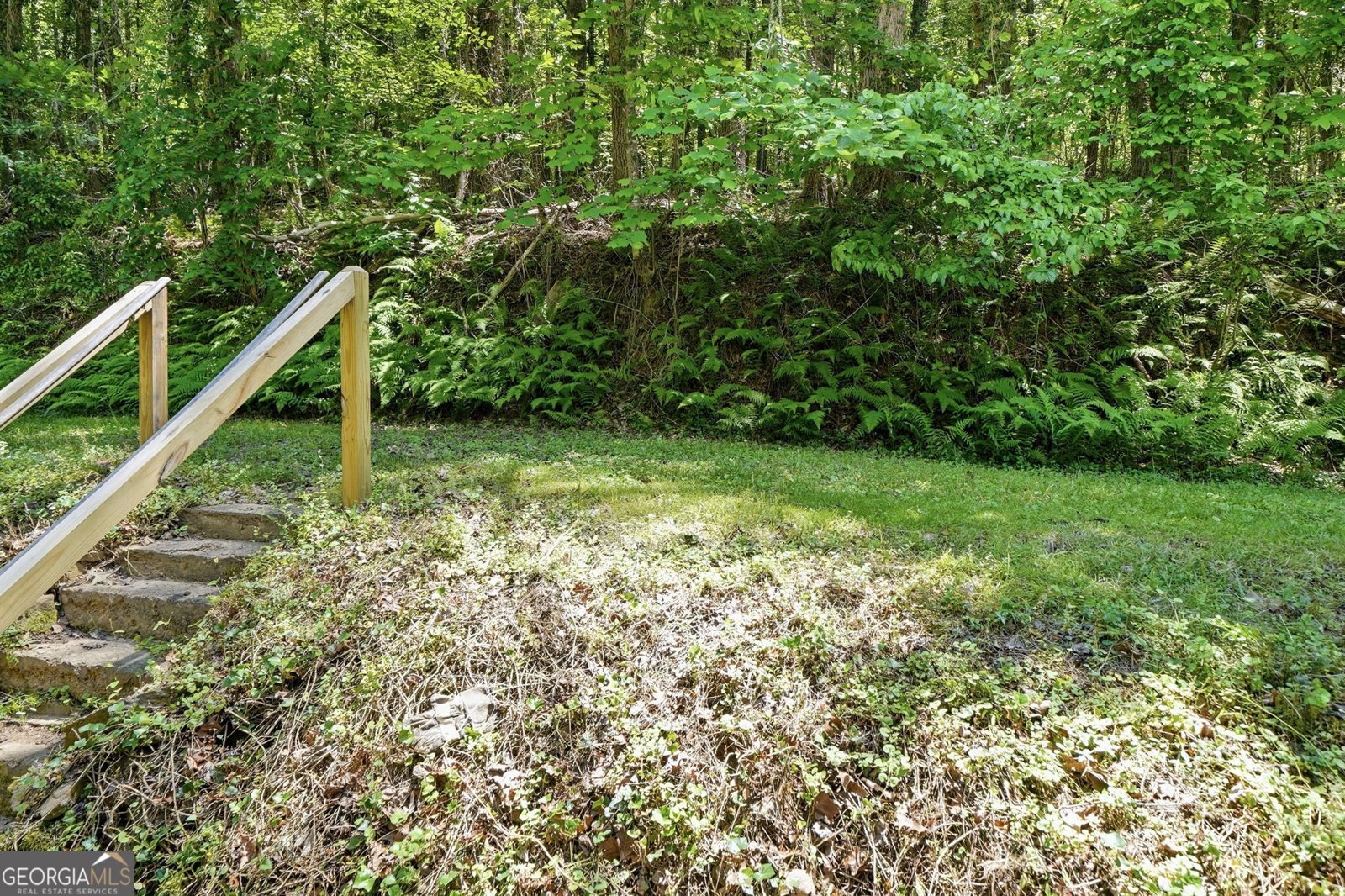 2494 Blue Ridge Drive Blue Ridge - Photo 36