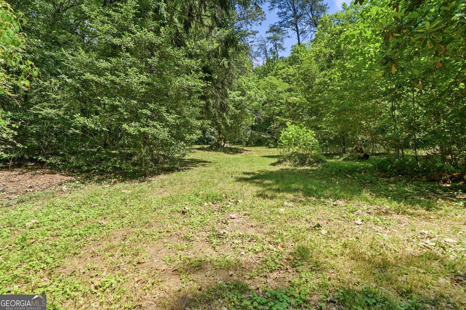 2494 Blue Ridge Drive Blue Ridge - Photo 41