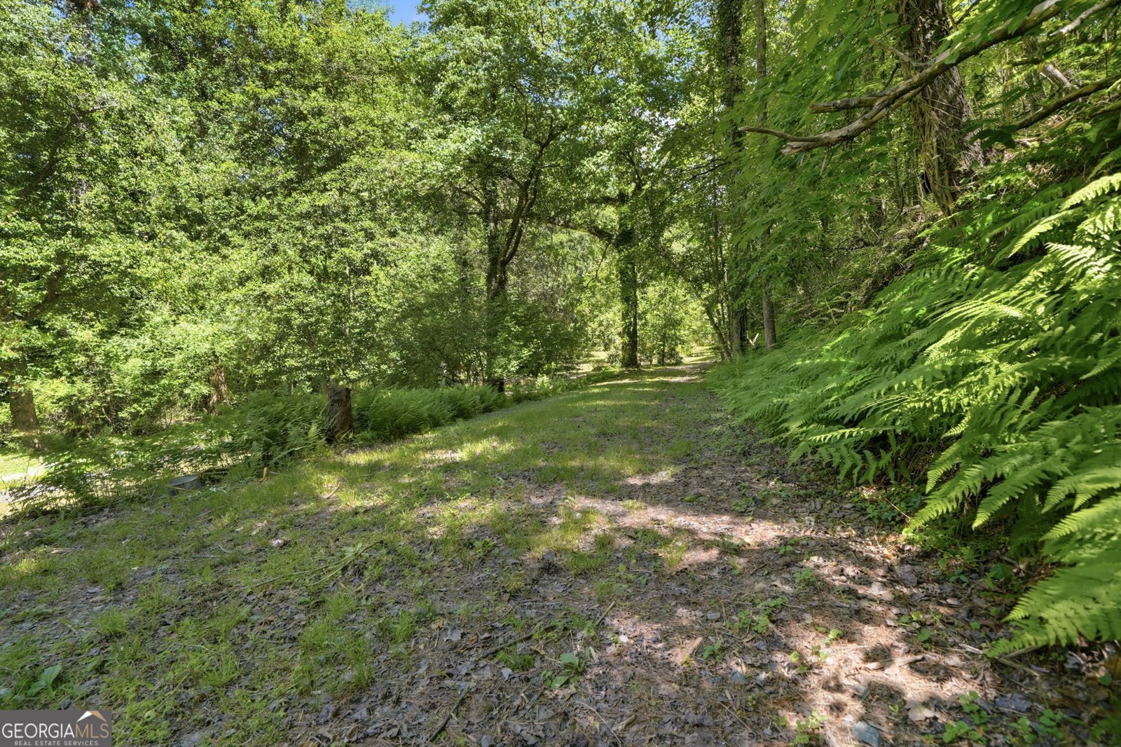 2494 Blue Ridge Drive Blue Ridge - Photo 47
