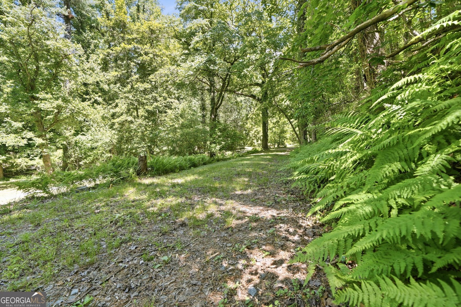 2494 Blue Ridge Drive Blue Ridge - Photo 48