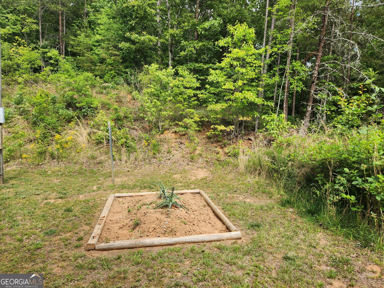 121 Rebecca Court Dahlonega - Photo 13