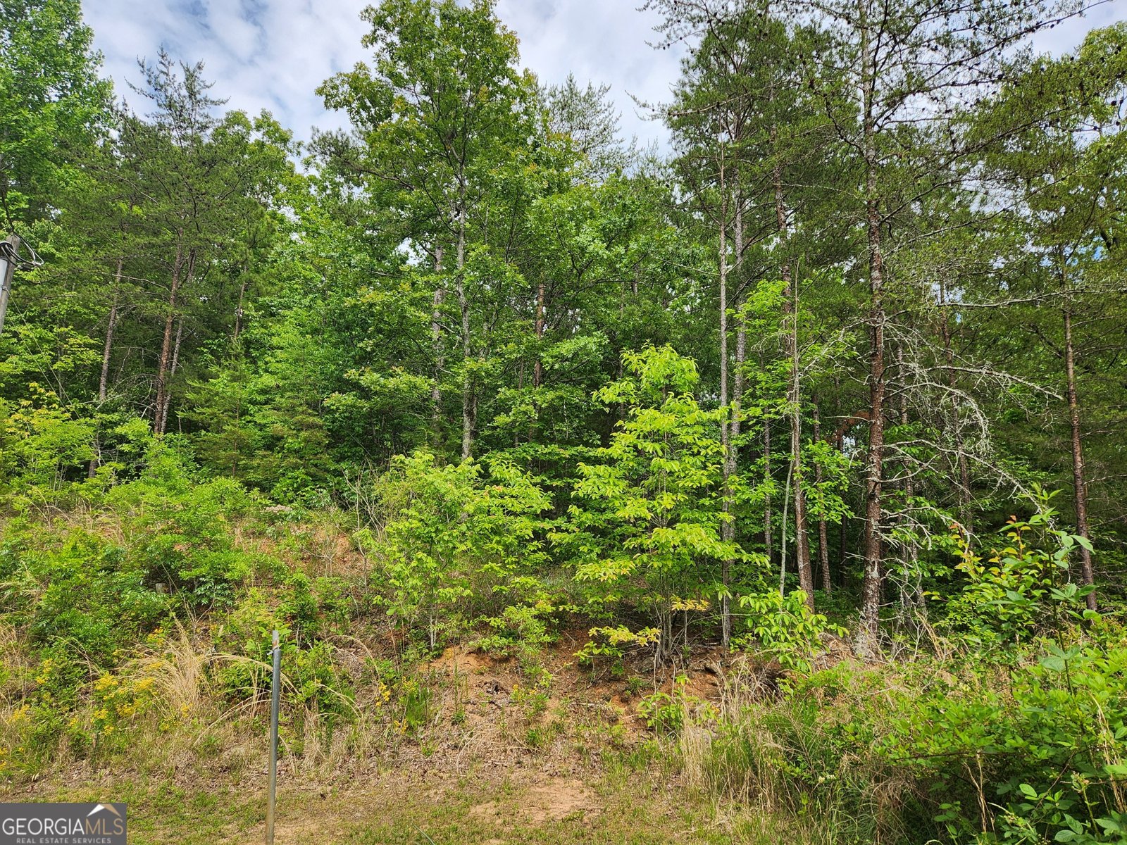 121 Rebecca Court Dahlonega - Photo 14