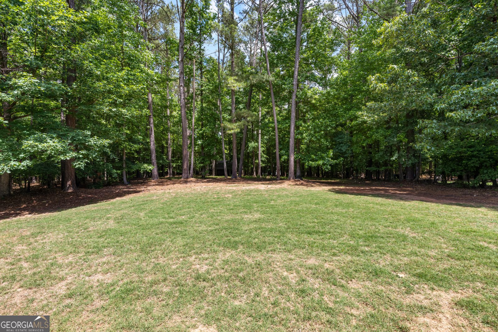 210 Jefferson Woods Drive Peachtree City - Photo 49