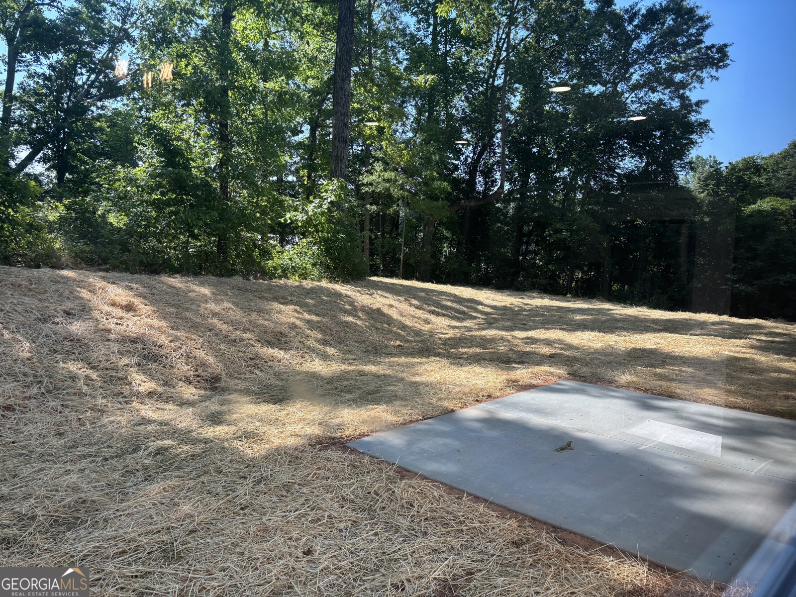60 OLIVE BRANCH Lane Dahlonega - Photo 6
