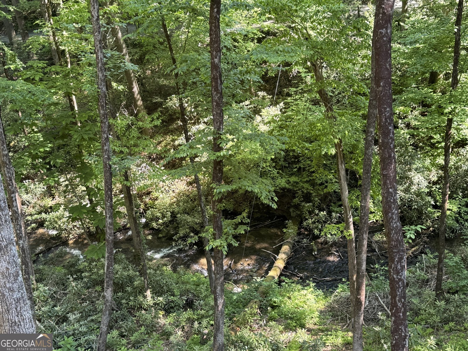 122 Laurel Creek Trail Blue Ridge - Photo 10