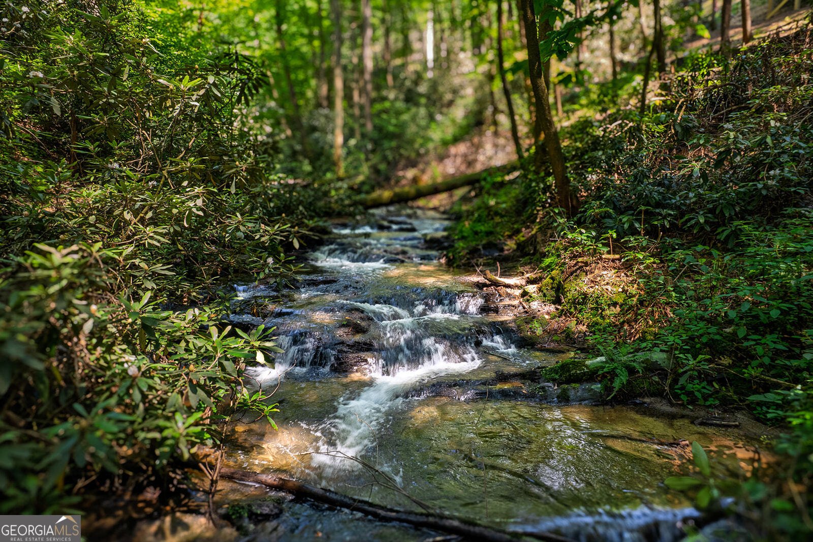 122 Laurel Creek Trail Blue Ridge - Photo 22