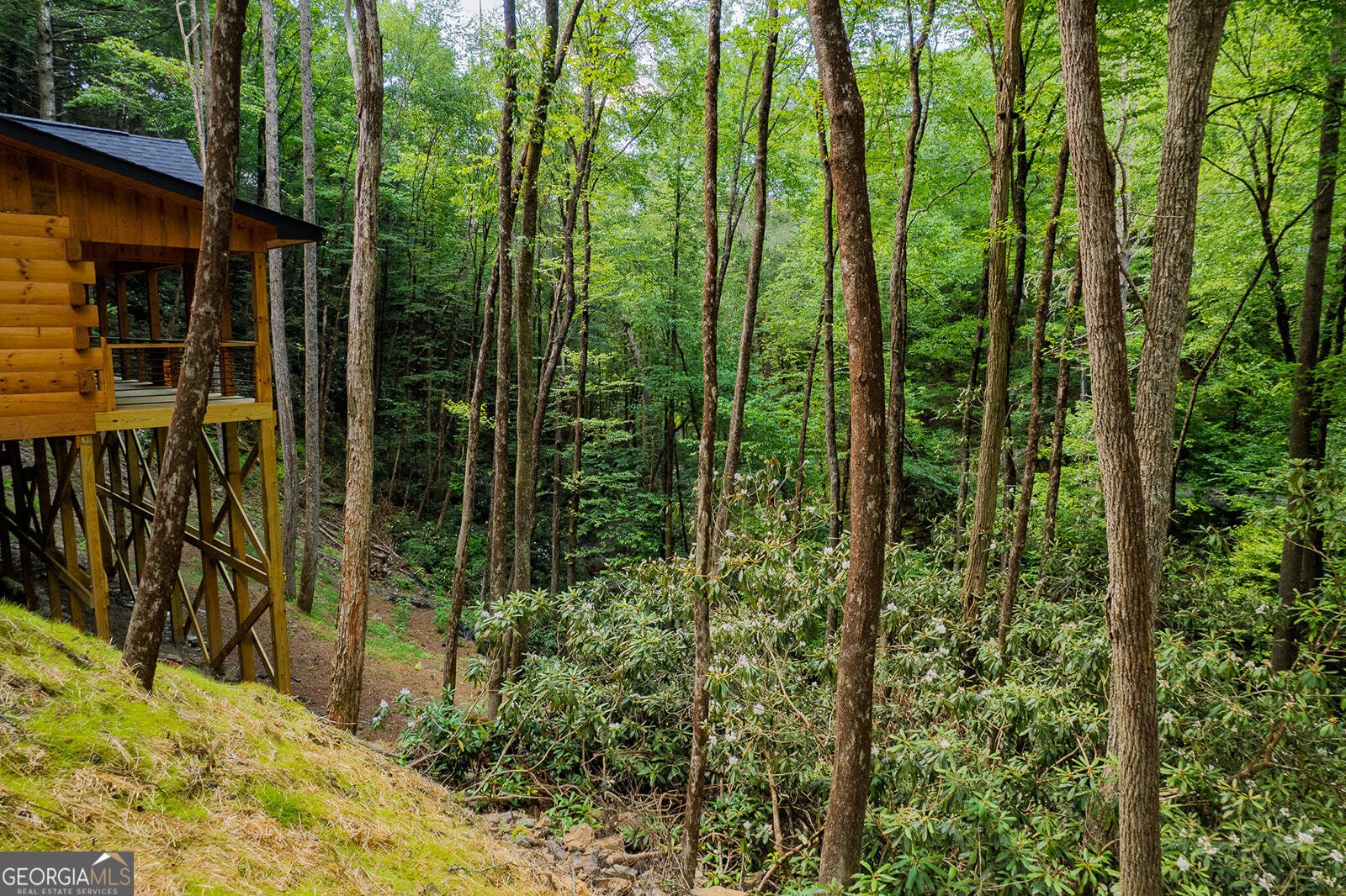 122 Laurel Creek Trail Blue Ridge - Photo 29