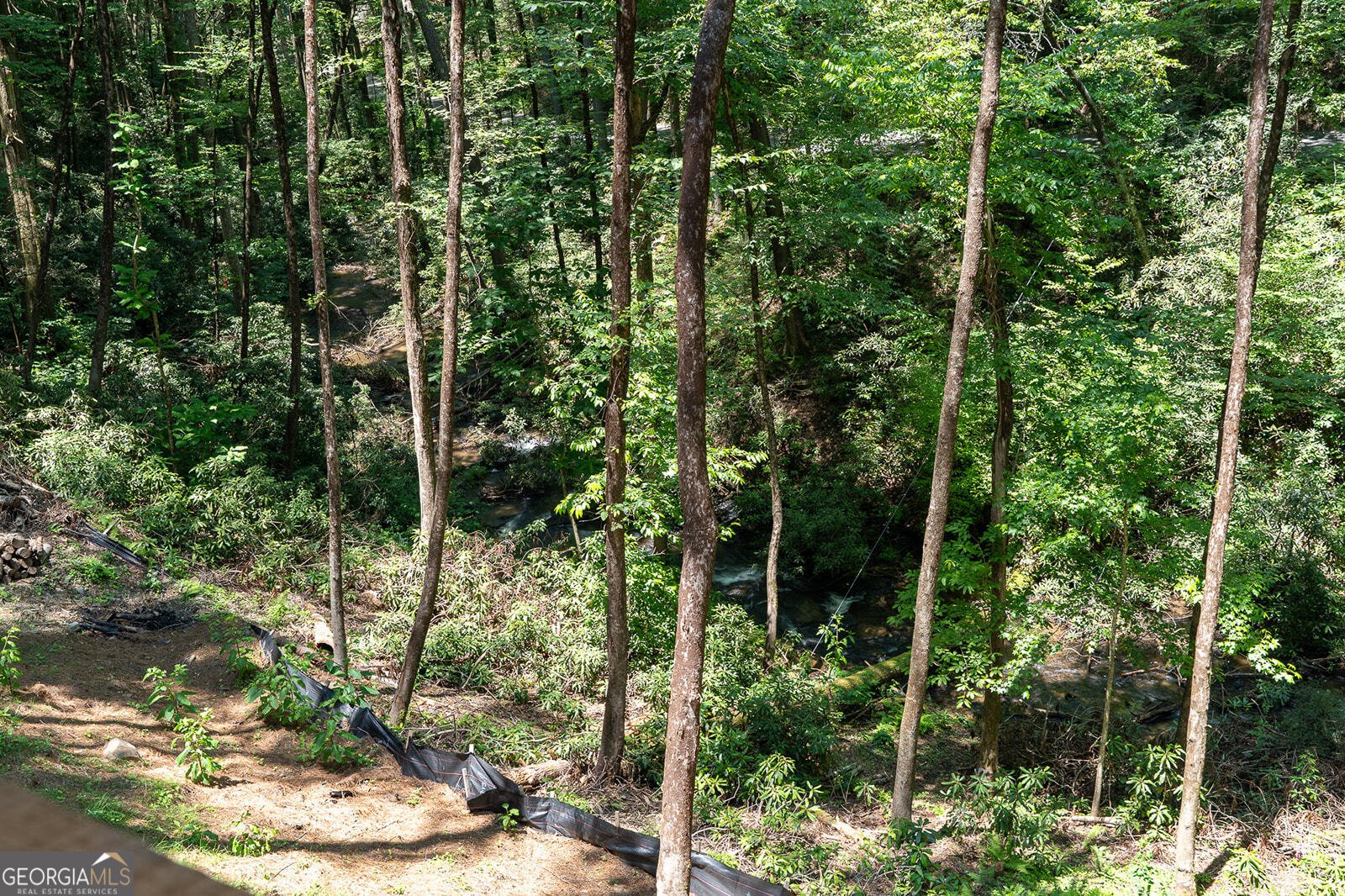 122 Laurel Creek Trail Blue Ridge - Photo 45