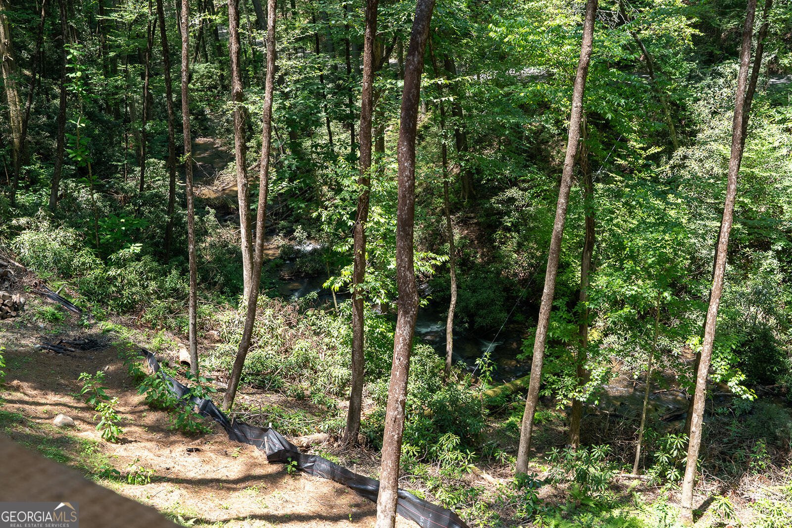 122 Laurel Creek Trail Blue Ridge - Photo 46