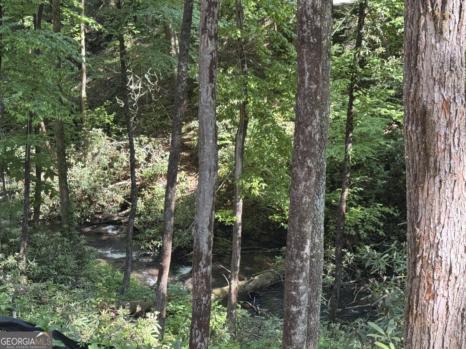122 Laurel Creek Trail Blue Ridge - Photo 6