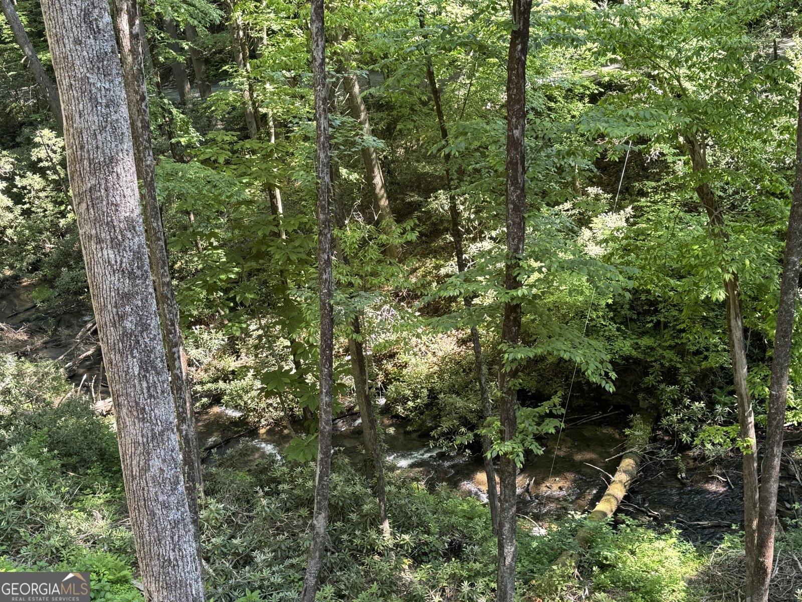 122 Laurel Creek Trail Blue Ridge - Photo 9