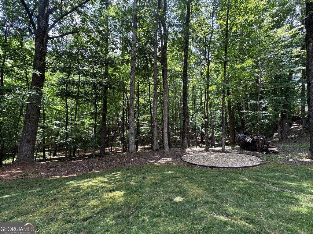 6101 Armor Place Powder Springs - Photo 56
