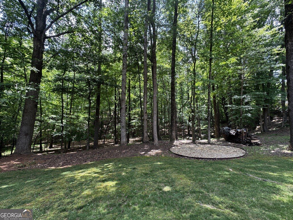6101 Armor Place Powder Springs - Photo 58
