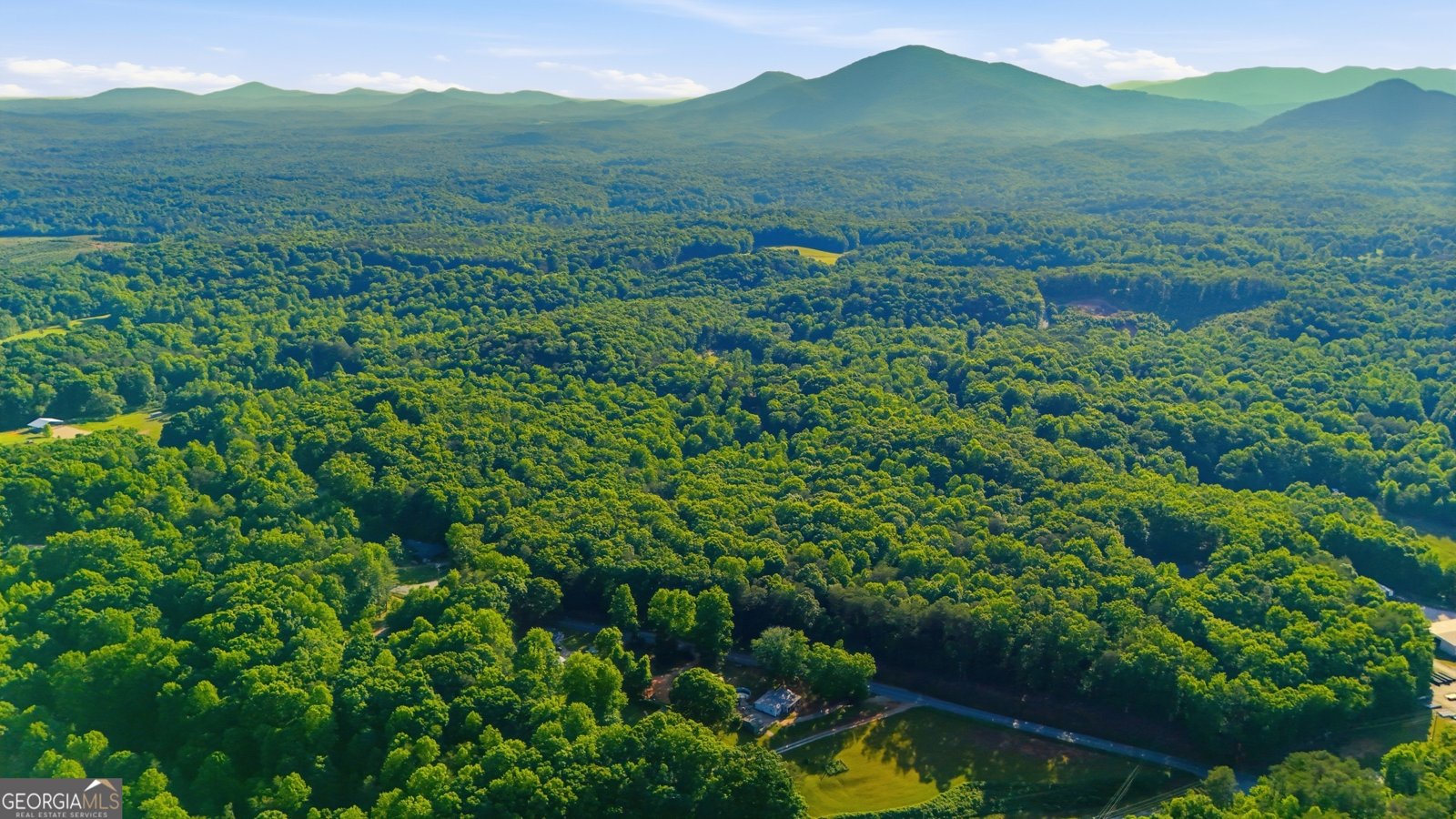 1786 Preacher Campbell Road Clarkesville - Photo 35