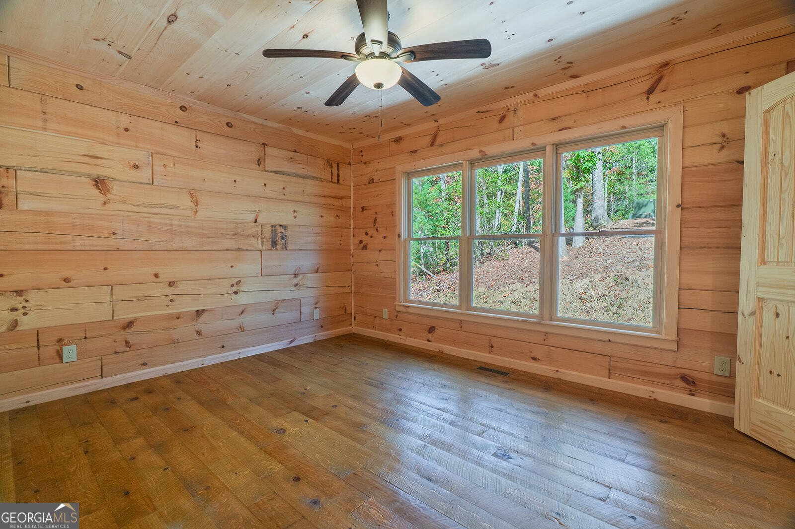 100 Crystal Oliver Lane Blue Ridge - Photo 10
