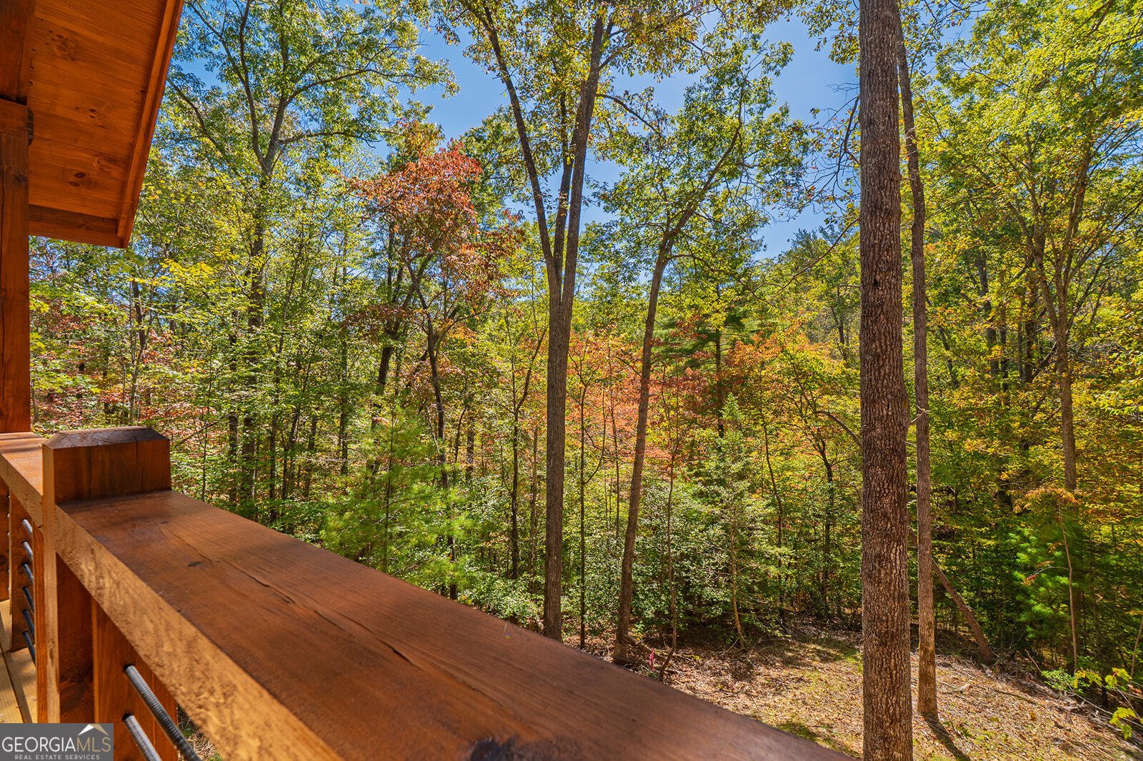 100 Crystal Oliver Lane Blue Ridge - Photo 24