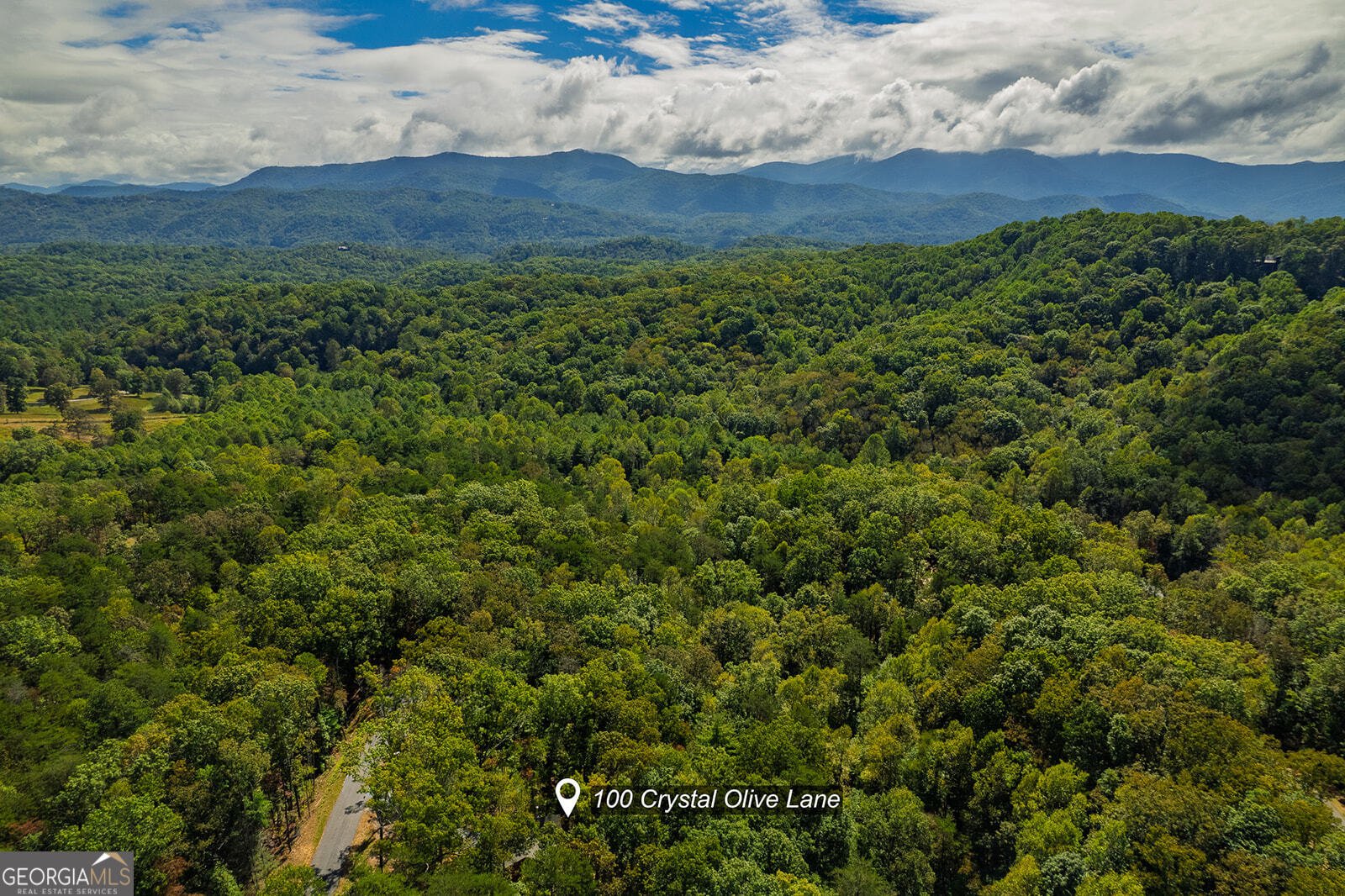 100 Crystal Oliver Lane Blue Ridge - Photo 34
