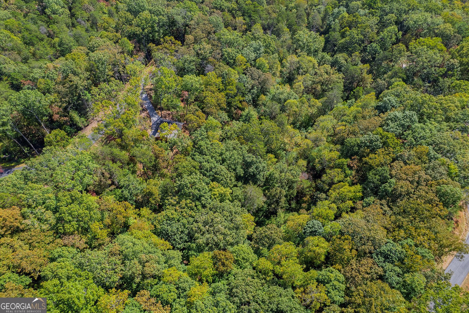 100 Crystal Oliver Lane Blue Ridge - Photo 35