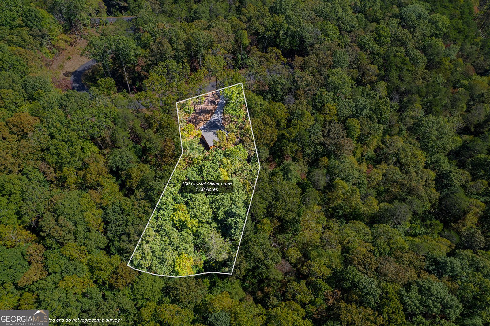 100 Crystal Oliver Lane Blue Ridge - Photo 36