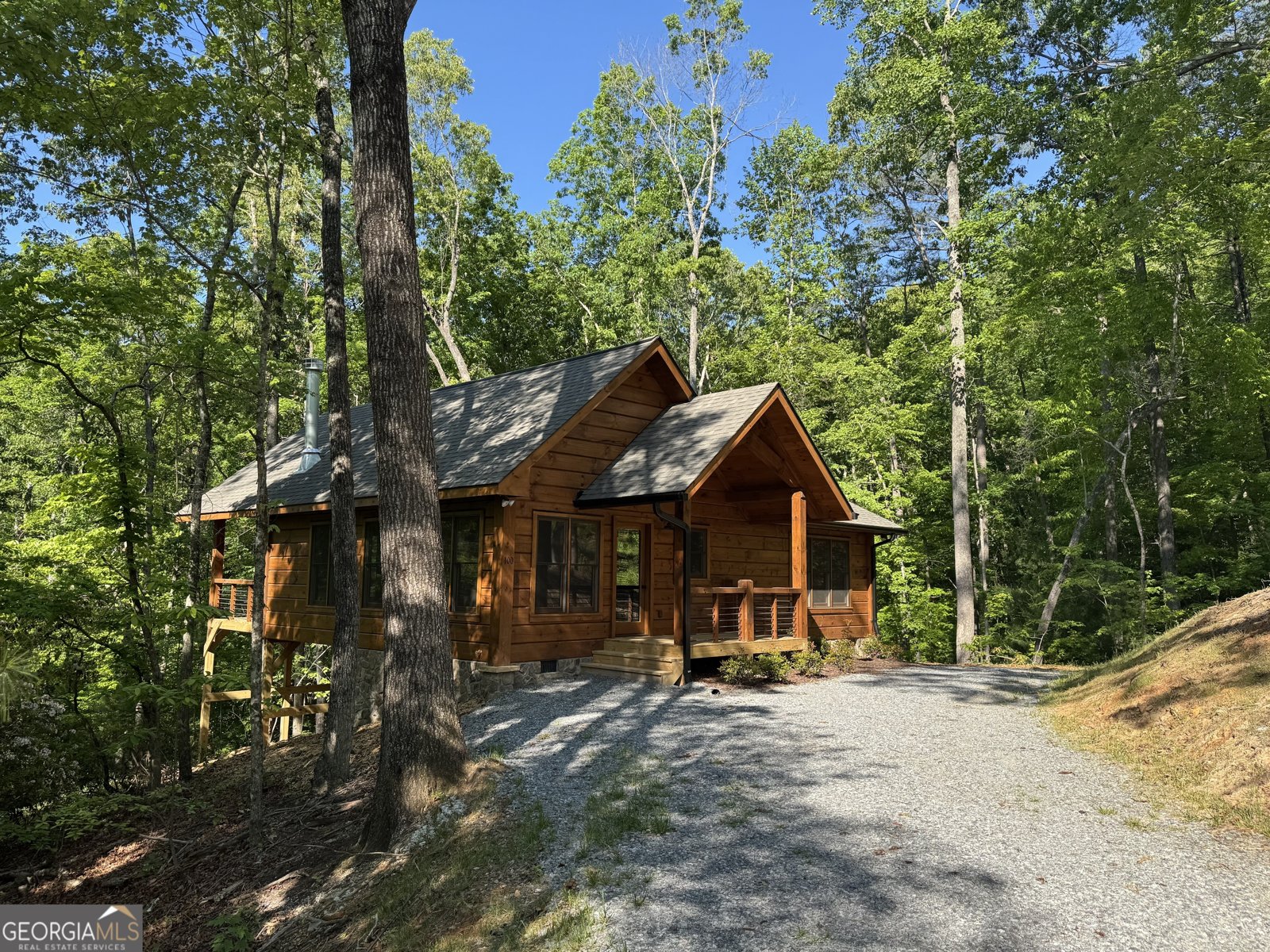 100 Crystal Oliver Lane Blue Ridge - Photo 48