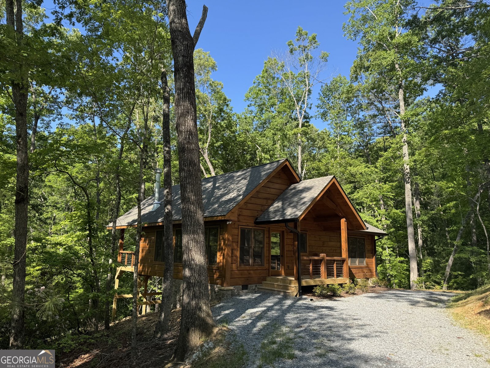 100 Crystal Oliver Lane Blue Ridge - Photo 49
