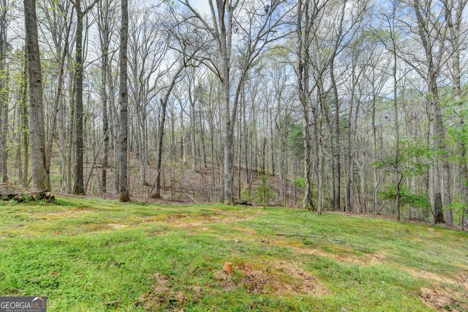 8780 Waterside Drive Ballground - Photo 42
