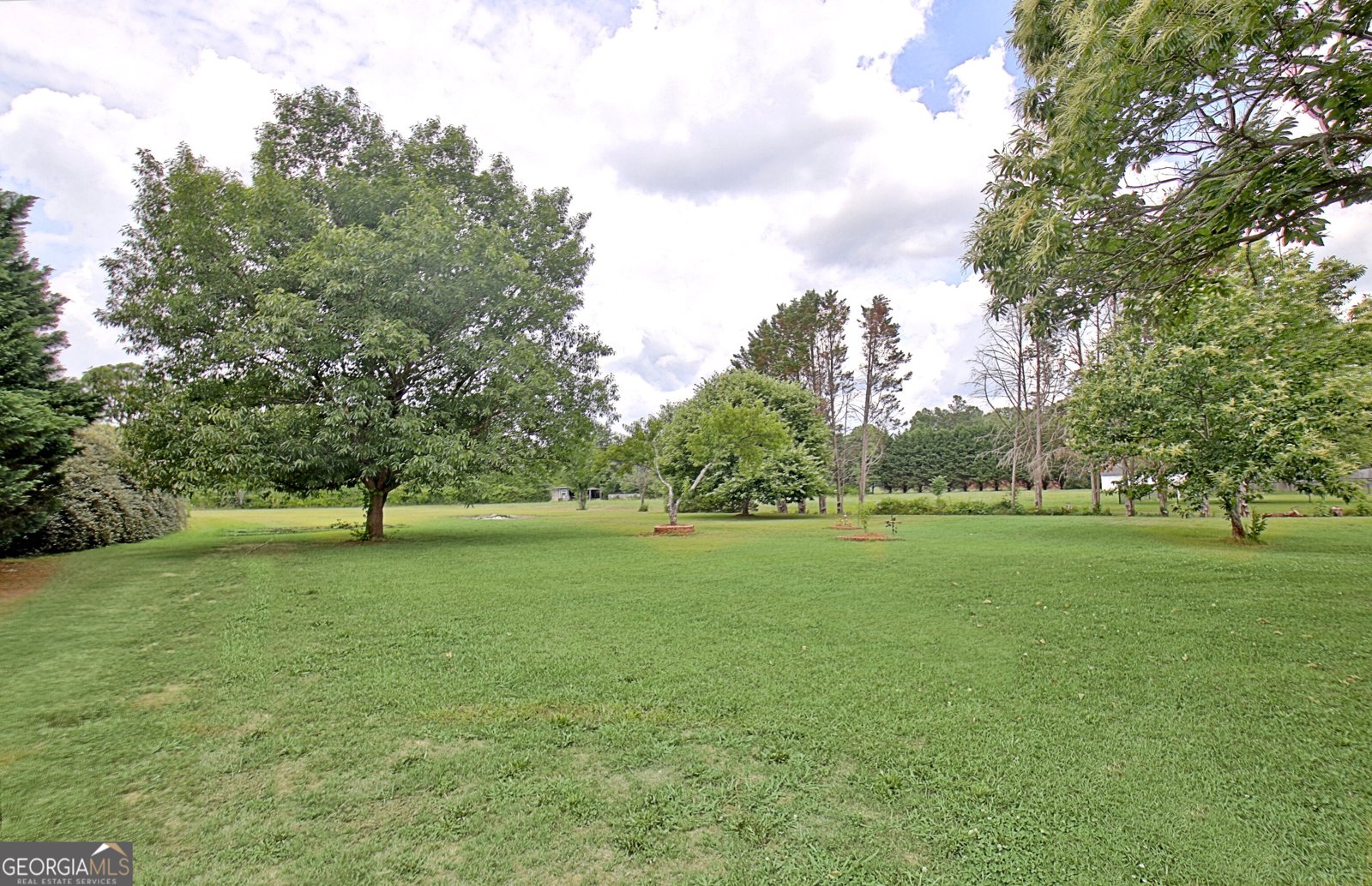 71 Wrightsburg Court Senoia - Photo 57