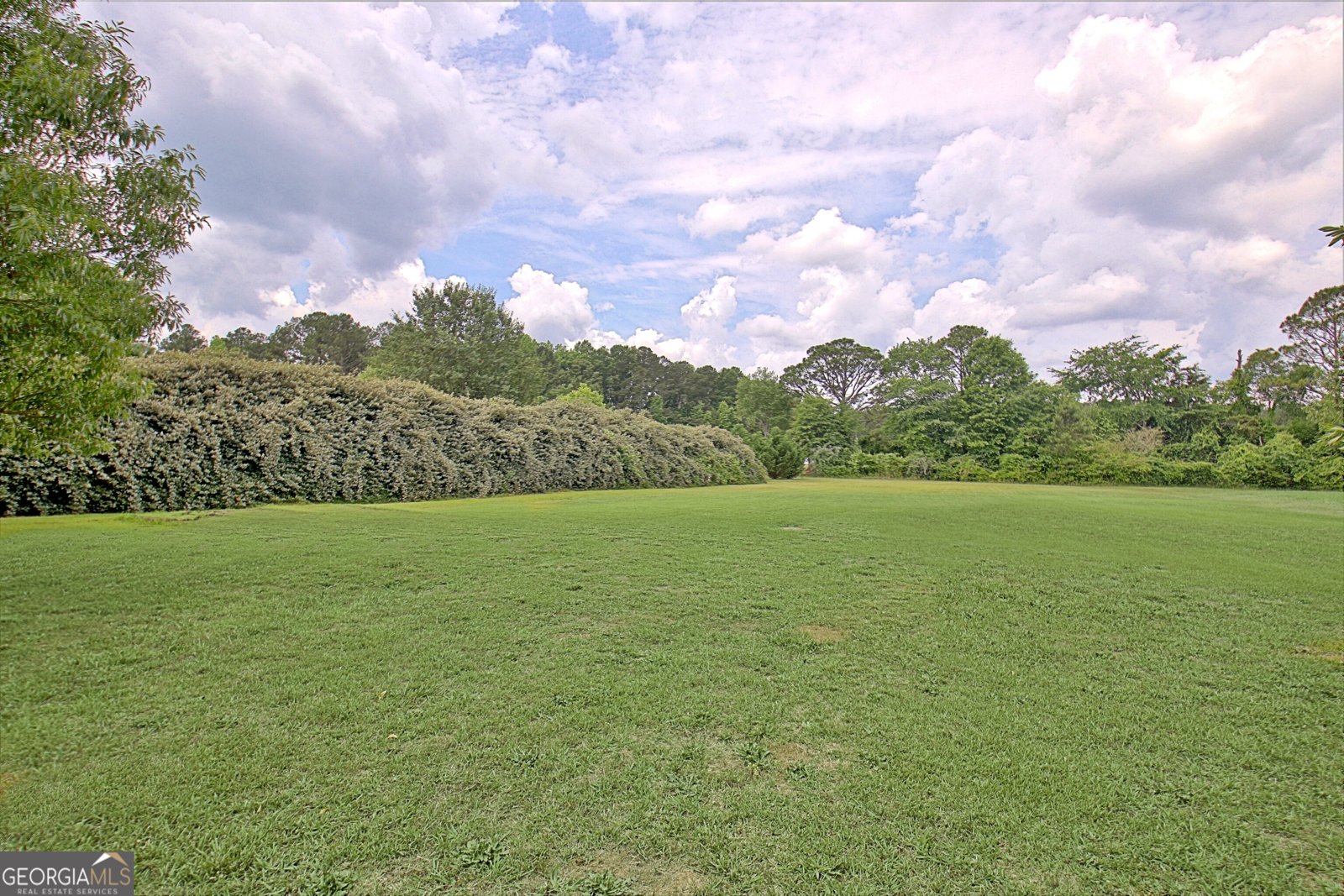 71 Wrightsburg Court Senoia - Photo 59