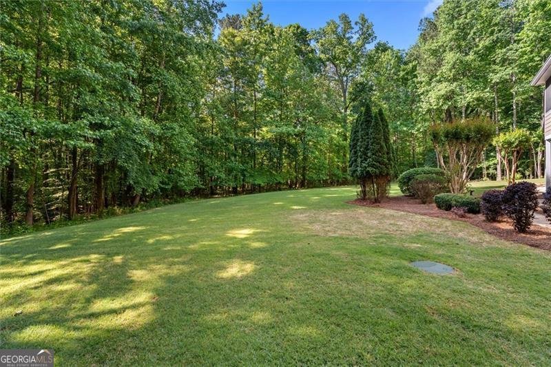 4310 Winslow Court Douglasville - Photo 65