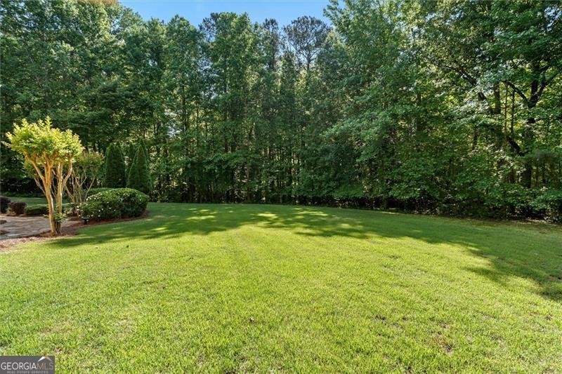 4310 Winslow Court Douglasville - Photo 66