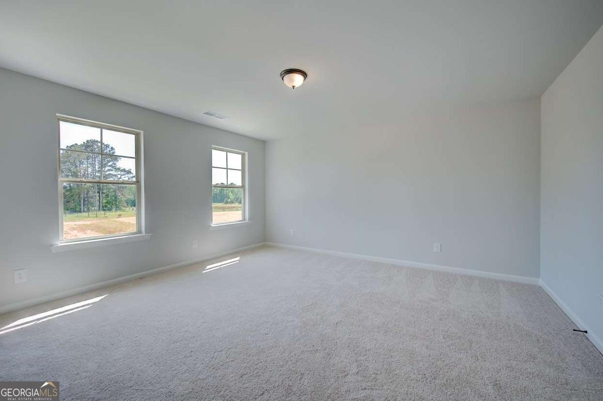 145 Blessing Brook Way Locust Grove - Photo 21