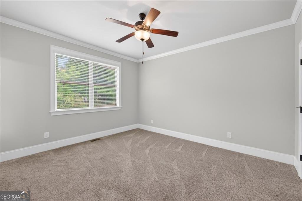 436 Thunder Road Buford - Photo 23