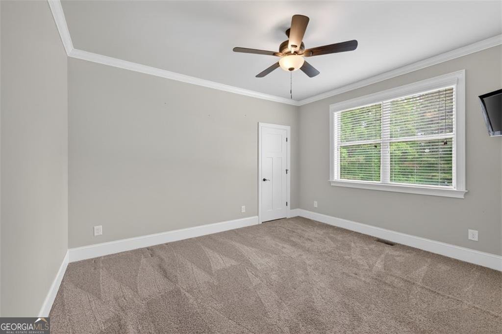 436 Thunder Road Buford - Photo 26